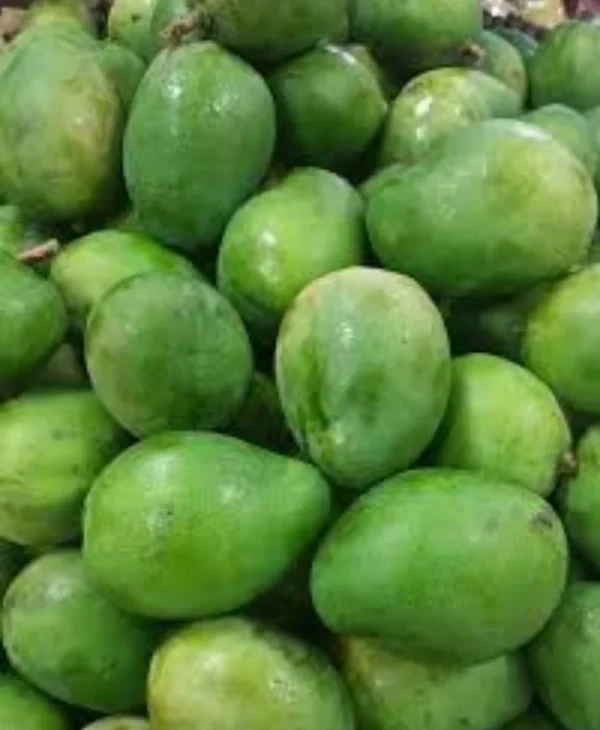 Fresh Green Baby Mangoes-2.5 Lbs