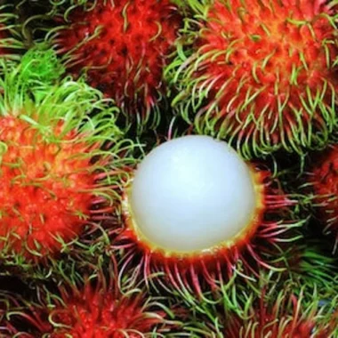 Fresh Rambutan- 2 pounds