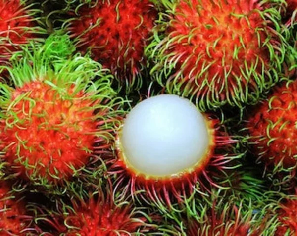 Fresh Rambutan- 2 pounds
