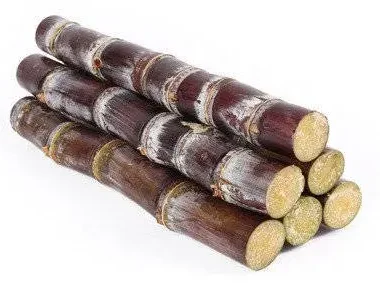 Fresh Purple Sugarcane Sticks (5lbs)