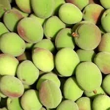 Fresh Apricot-2.5 lbs