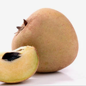 Fresh Sapodilla (Chikoo) -3 lbs
