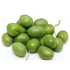 Fresh Raw Olive for curing- 3 lbs
