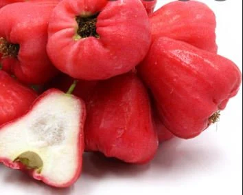 Fresh Wax Apple Fruits ( any color)-3 lbs