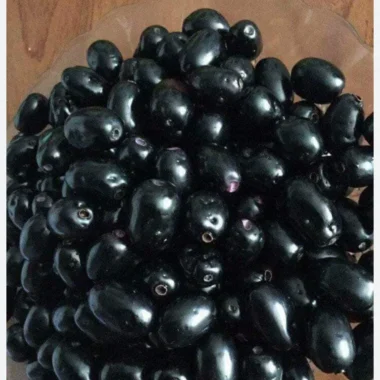 Fresh Jamun / Jamblon fruit -2 pounds