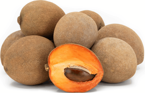Fresh Mamey Sapote (Set of 2)-5 lbs.