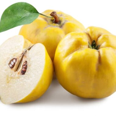 Fresh Quince-5 pounds