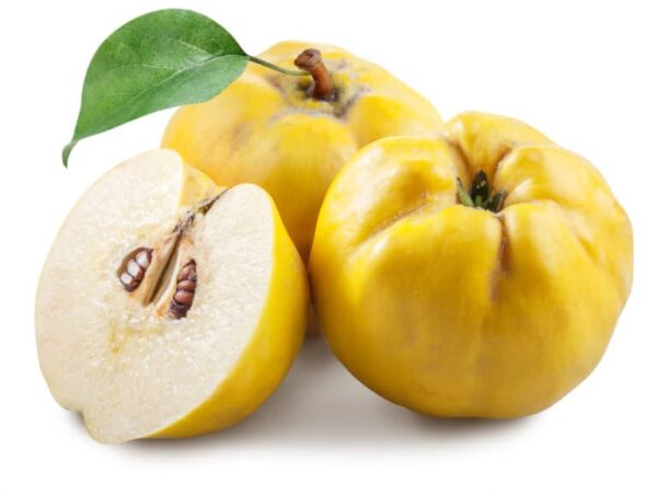 Fresh Quince-5 pounds