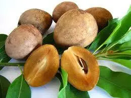 Fresh Sapodilla (Nispero) 3 lbs