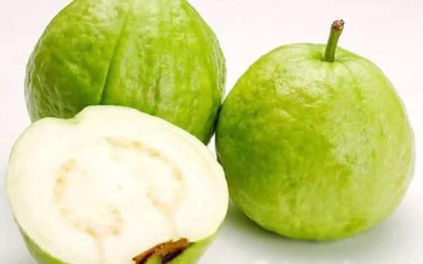 Fresh Guava Fruits -4 Lbs