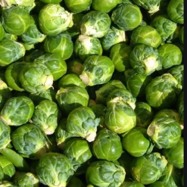 Fresh Organic Brussels sprout- 4 lbs