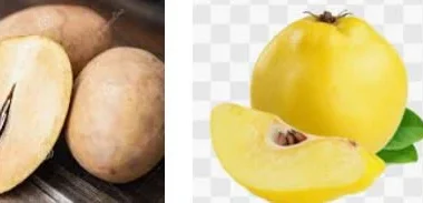 Fresh Sapodilla- 2 counts and Fresh Quince- 1 count