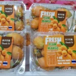 Fresh Maprang (Thai Plum Mango) | Bouea Macrophyll-2 lbs - Image 2