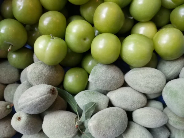 Fresh Almond 1 lb and fresh Green Plum 1 lb ( total 2 lbs)