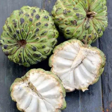 Fresh Sugar Apple- 2-3 fruits