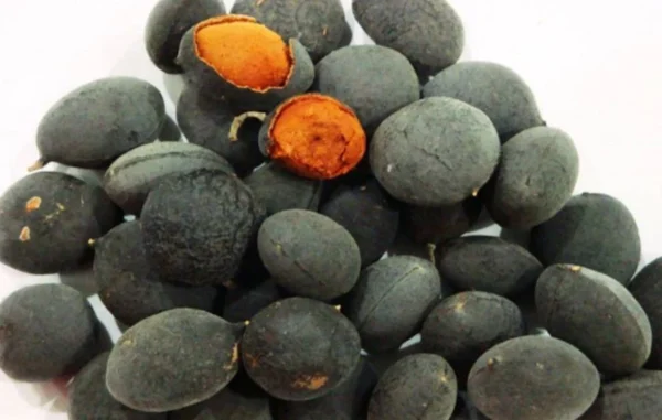 Fresh Black Velvet Tamarind (Awin, Icheku and Tsamiyar kurm)- 1 pound