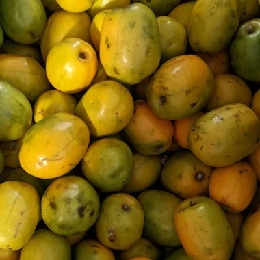 Fresh Jocotes- Spanish Plum- 2 lbs