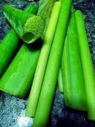 Fresh Taro Stem (Colocasia esculenta Stem)-1 lbs