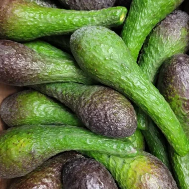 Fresh Russell Avocados - 10 counts.-Standard shipping included.